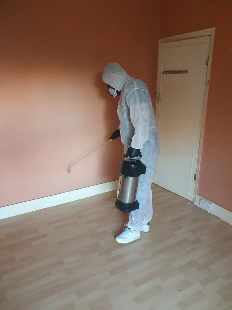 The London Bed Bugs Company