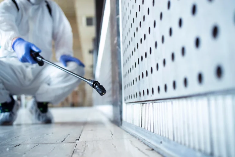 What is bed bug control