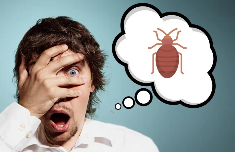 best bed bug treatments in London