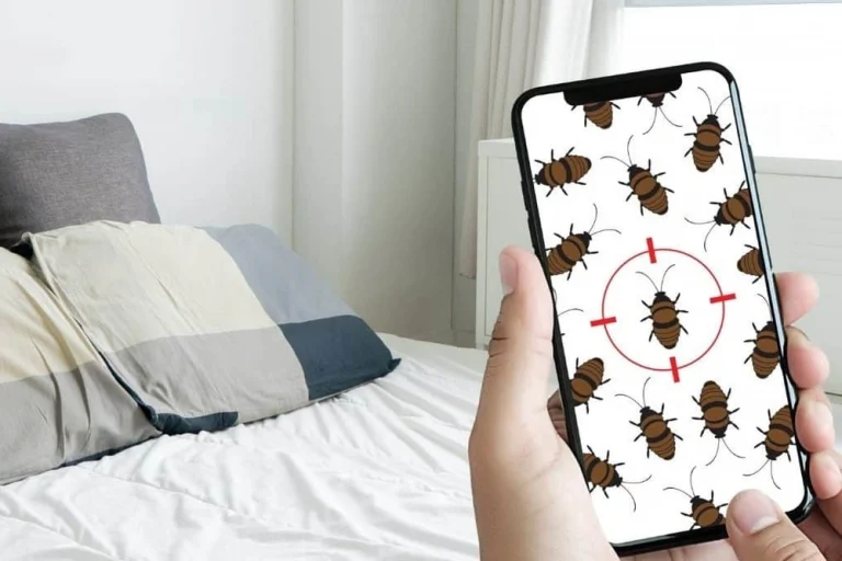 When do you need bed bug treatment in Bromley