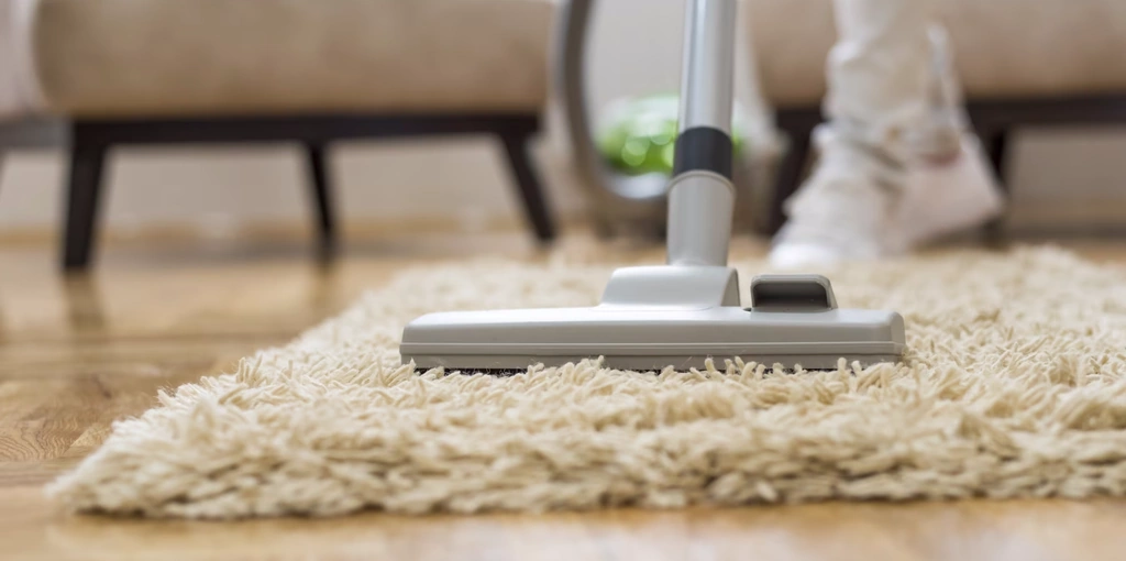Effective Bed Bug Treatment Options