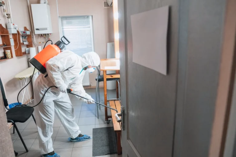 Effective bed bug treatment in Richmond upon Thames