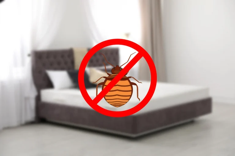 Guaranteed Bed Bug Treatment in Richmond upon Thames