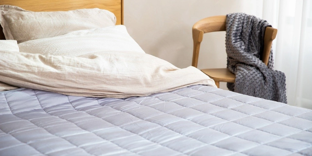 How to check for bed bugs