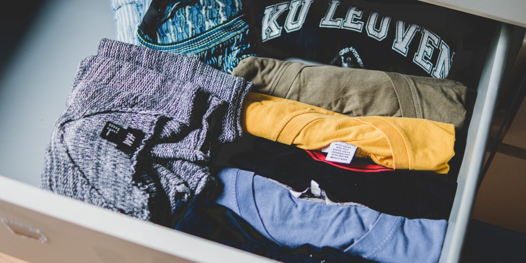 What is the main cause of bed bugs